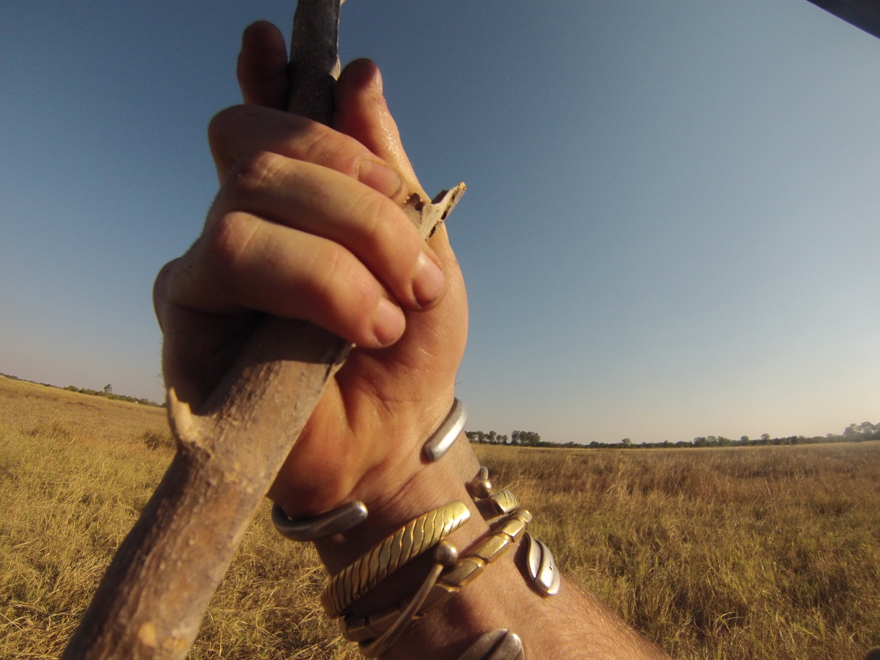 [25464] 2016_06_30_15_01_43_Africa_Hero3-Silver_Edition_IMG__01977.jpg