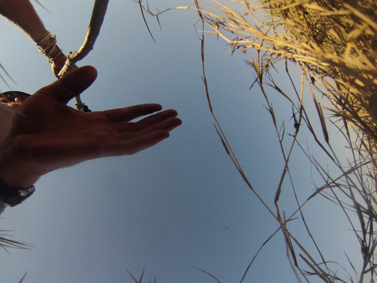 [25467] 2016_06_30_15_01_45_Africa_Hero3-Silver_Edition_IMG__01978.jpg