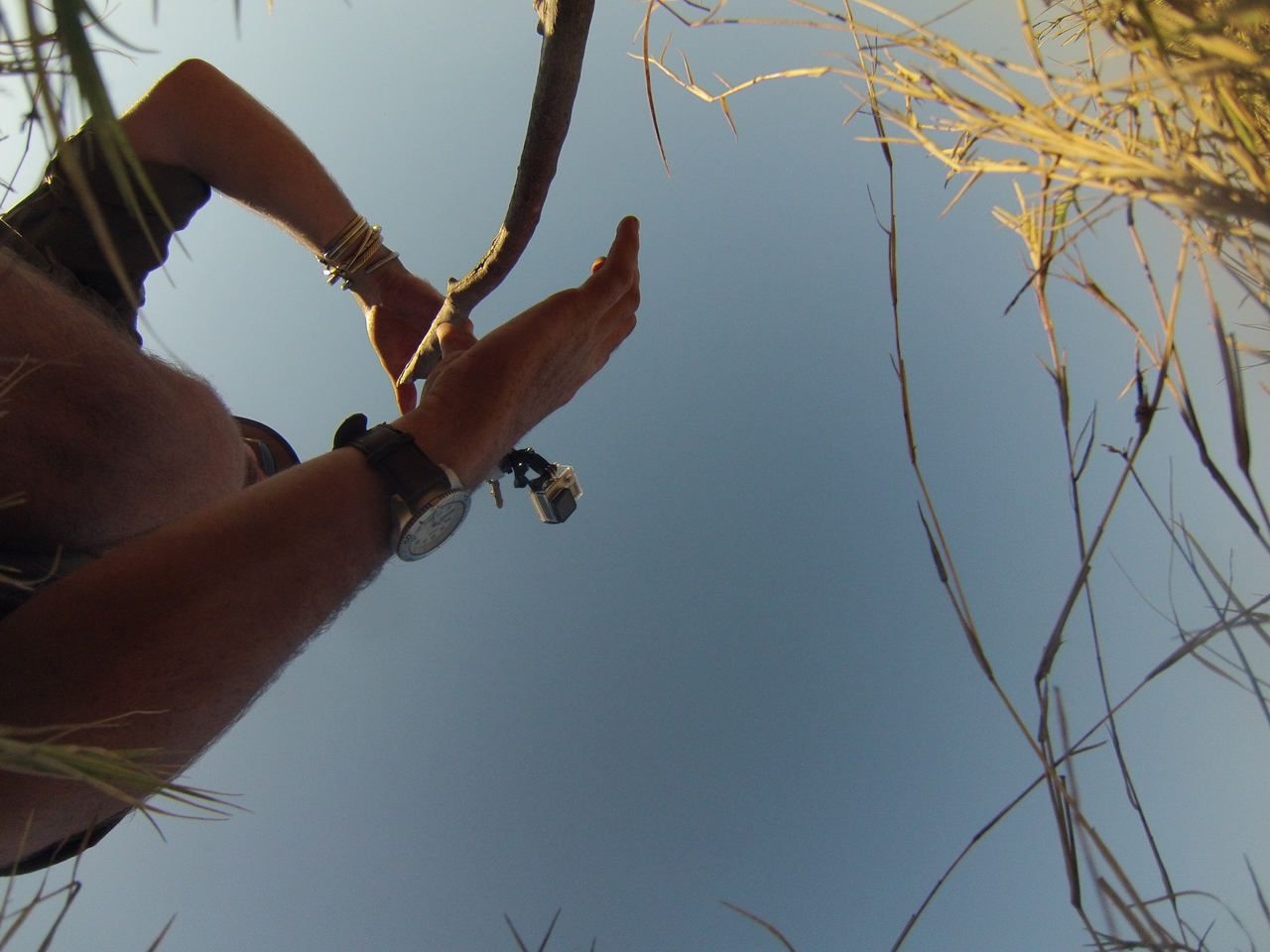 [25477] 2016_06_30_15_01_53_Africa_Hero3-Silver_Edition_IMG__00588.jpg