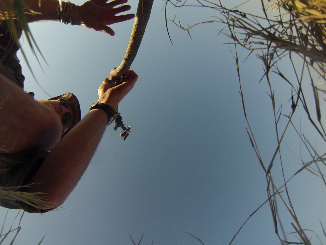 [25486] 2016_06_30_15_01_59_Africa_Hero3-Silver_Edition_IMG__00591.jpg