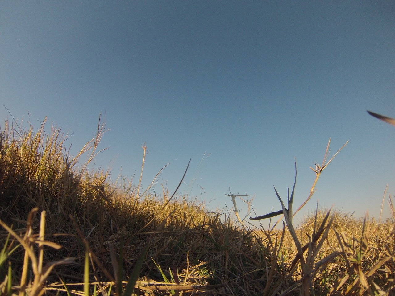 [25533] 2016_06_30_15_02_29_Africa_Hero3-Silver_Edition_IMG__02000.jpg