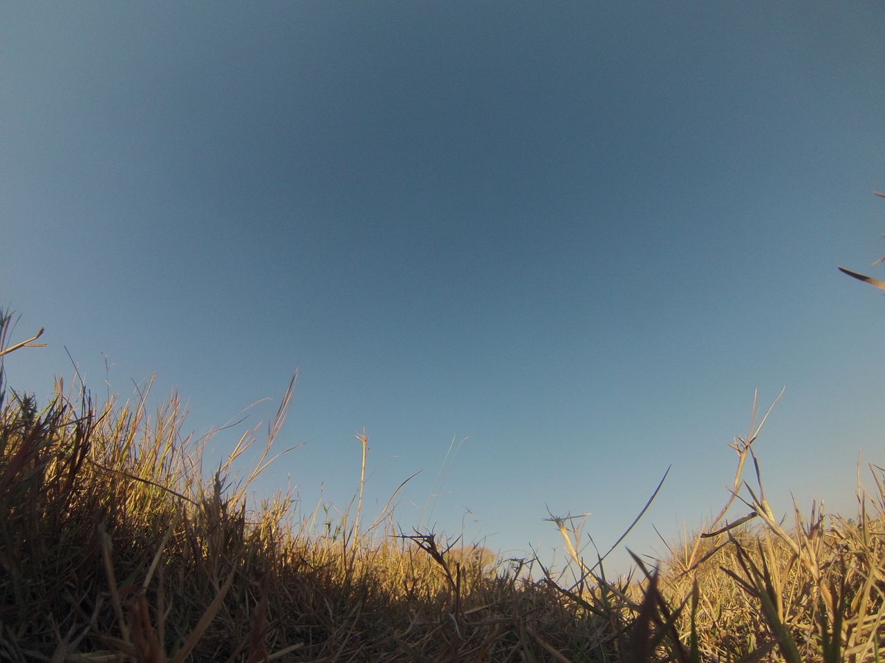 [25550] 2016_06_30_15_02_41_Africa_Hero3-Silver_Edition_IMG__01558.jpg