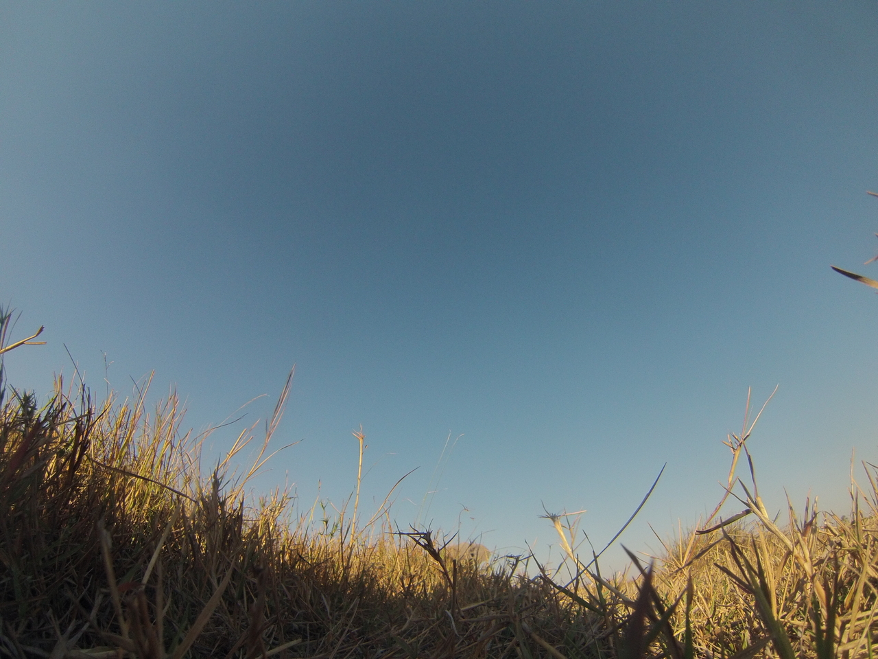 [25552] 2016_06_30_15_02_43_Africa_Hero3-Silver_Edition_IMG__00613.jpg