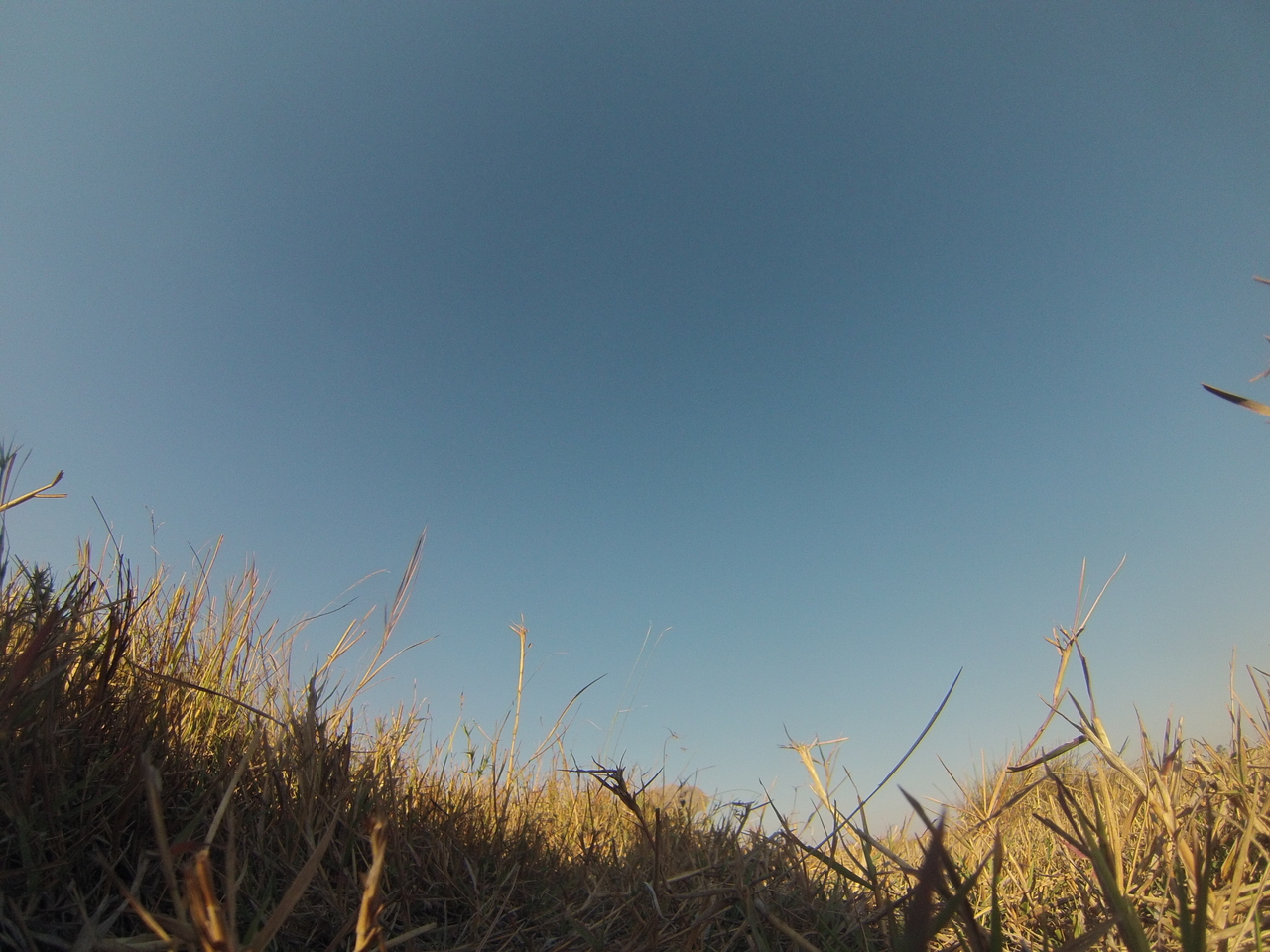 [25557] 2016_06_30_15_02_45_Africa_Hero3-Silver_Edition_IMG__02008.jpg