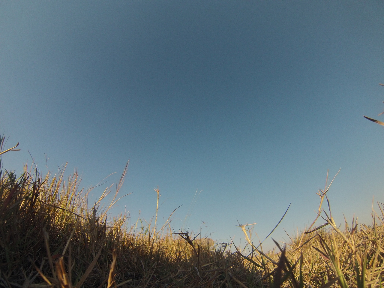 [25566] 2016_06_30_15_02_51_Africa_Hero3-Silver_Edition_IMG__02011.jpg