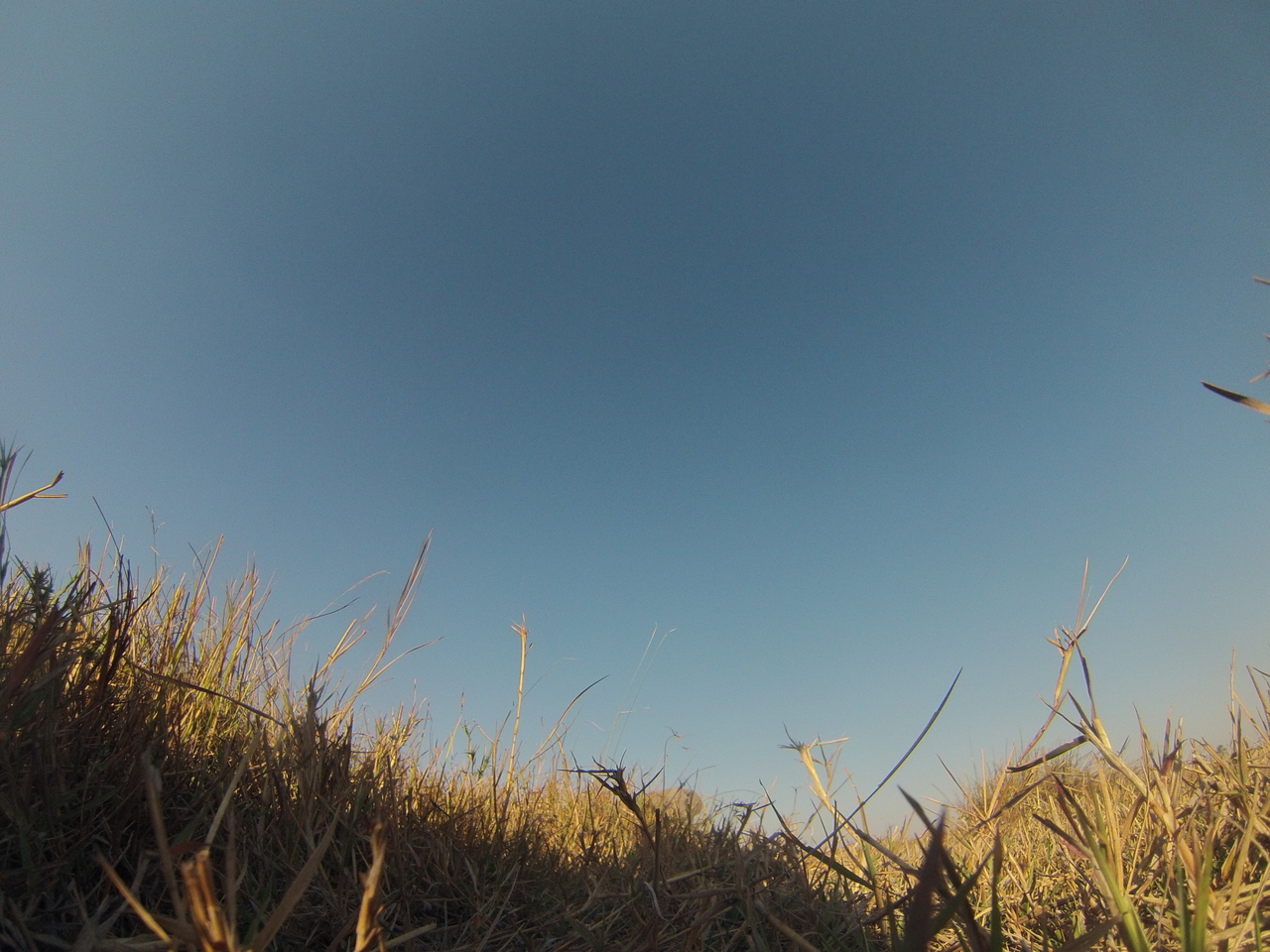 [25575] 2016_06_30_15_02_59_Africa_Hero3-Silver_Edition_IMG__02014.jpg