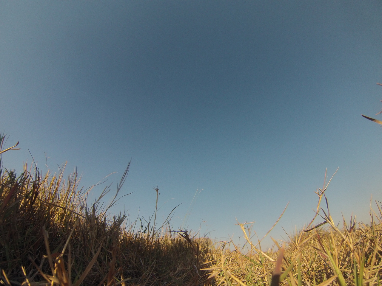 [25587] 2016_06_30_15_03_07_Africa_Hero3-Silver_Edition_IMG__02018.jpg