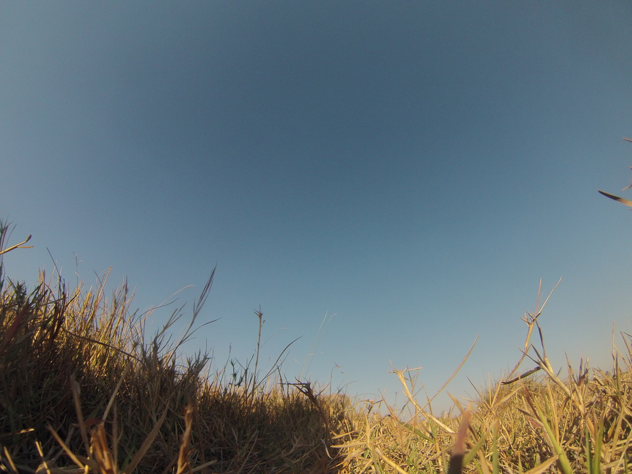 [25588] 2016_06_30_15_03_09_Africa_Hero3-Silver_Edition_IMG__00625.jpg