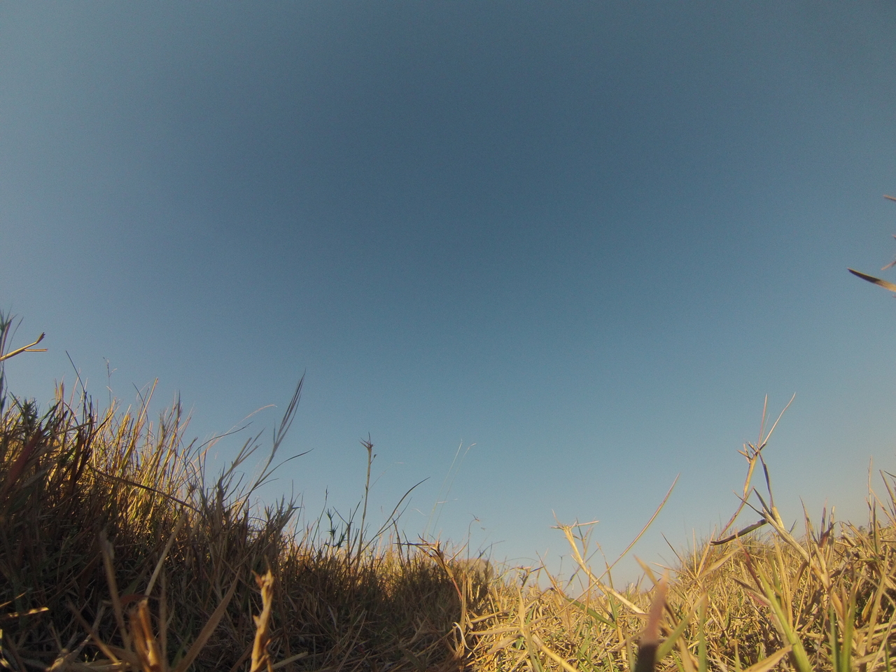 [25599] 2016_06_30_15_03_15_Africa_Hero3-Silver_Edition_IMG__02022.jpg