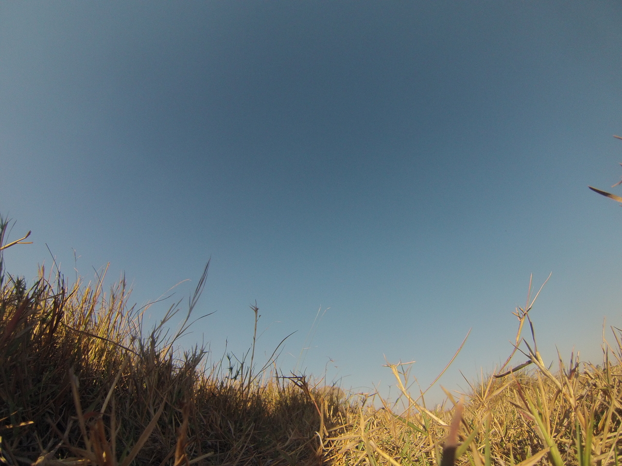 [25607] 2016_06_30_15_03_21_Africa_Hero3-Silver_Edition_IMG__01577.jpg