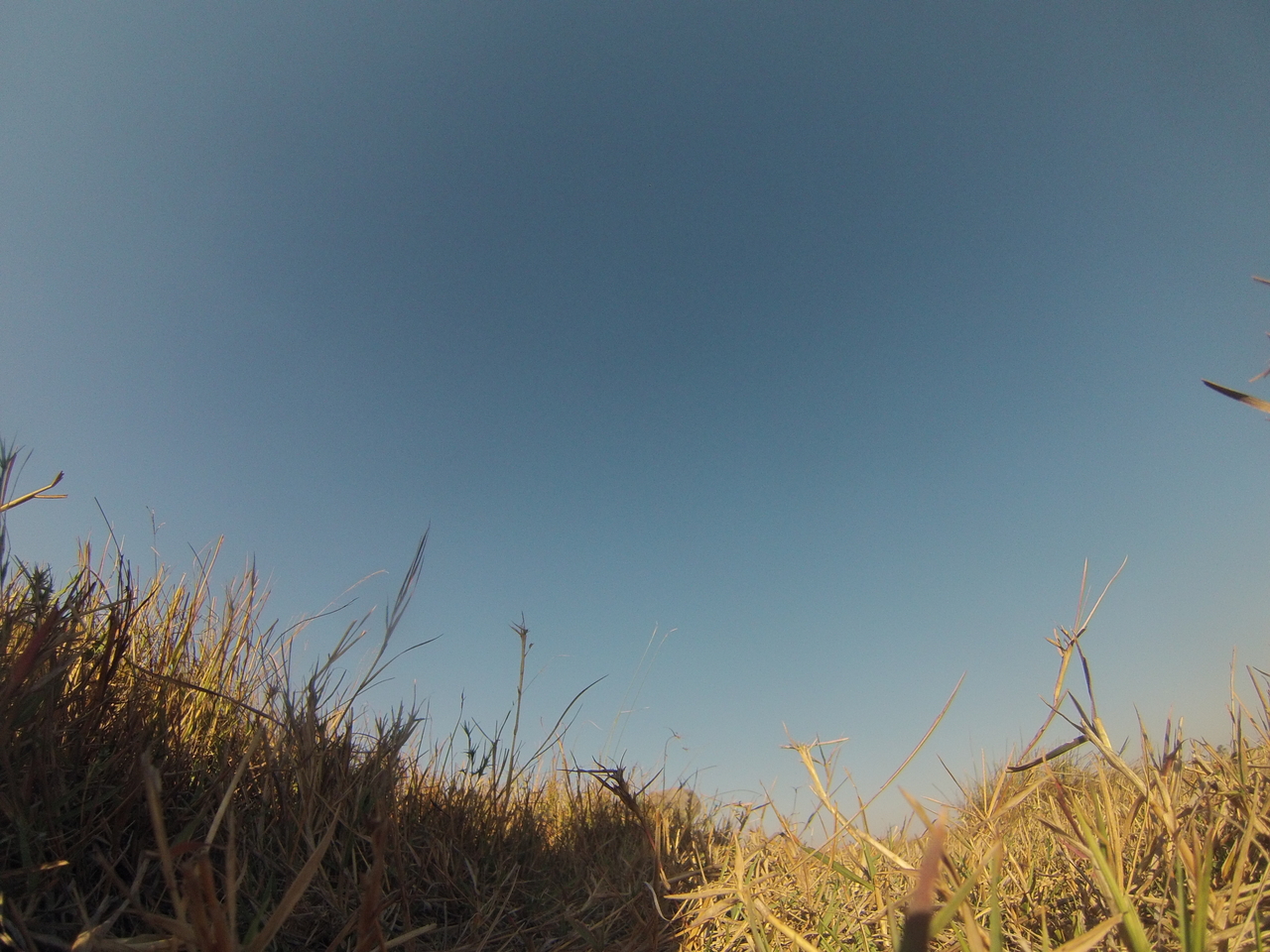 [25612] 2016_06_30_15_03_25_Africa_Hero3-Silver_Edition_IMG__00633.jpg