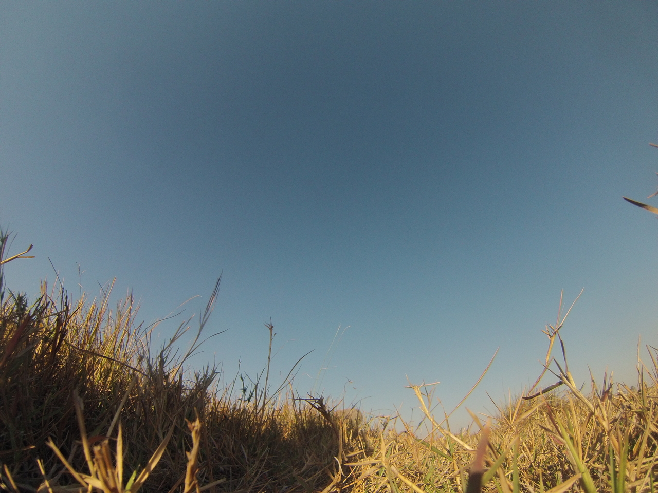 [25616] 2016_06_30_15_03_27_Africa_Hero3-Silver_Edition_IMG__01580.jpg