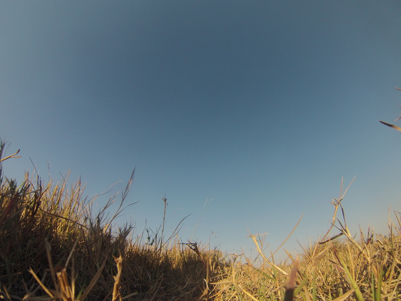 [25621] 2016_06_30_15_03_31_Africa_Hero3-Silver_Edition_IMG__00636.jpg