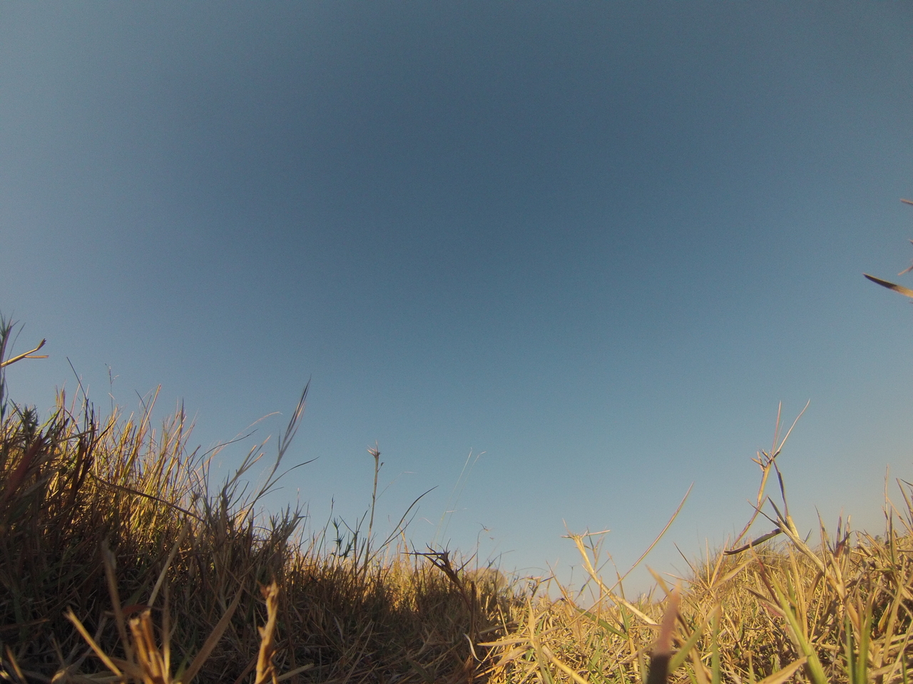 [25647] 2016_06_30_15_03_47_Africa_Hero3-Silver_Edition_IMG__02038.jpg