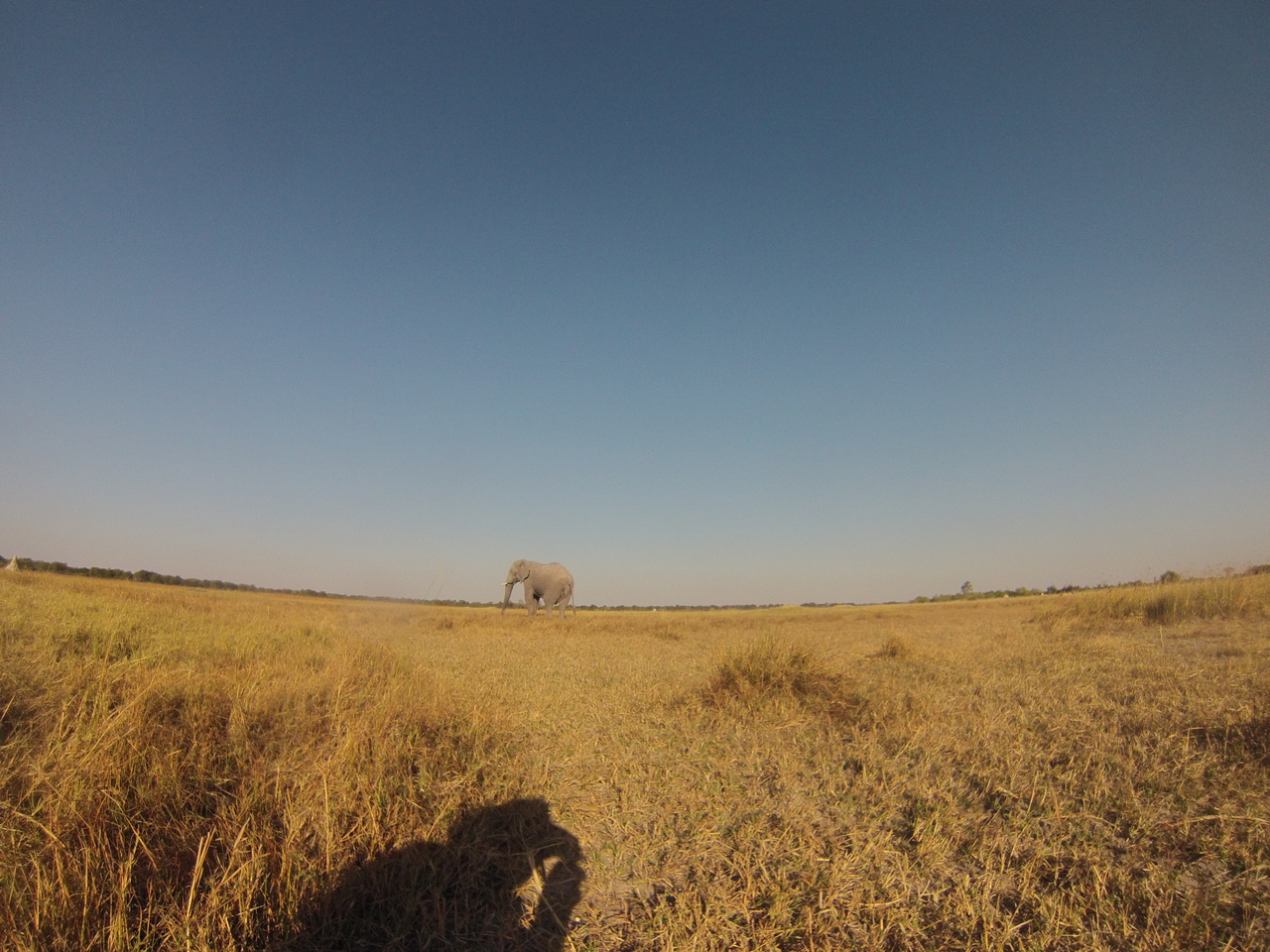 [25705] 2016_06_30_15_04_29_Africa_Hero3-Silver_Edition_IMG__00664.jpg