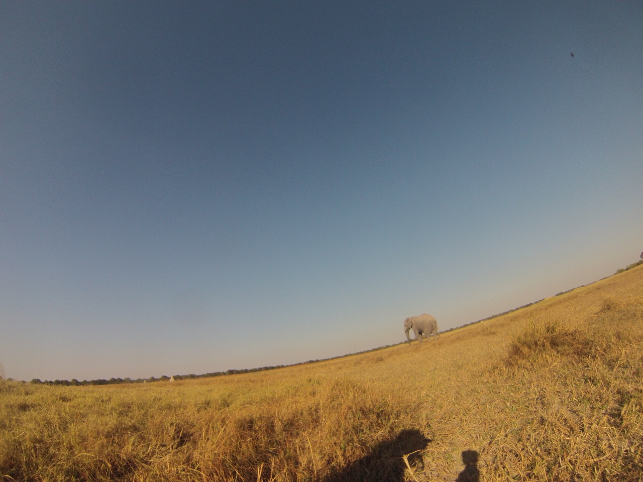 [25710] 2016_06_30_15_04_31_Africa_Hero3-Silver_Edition_IMG__02059.jpg