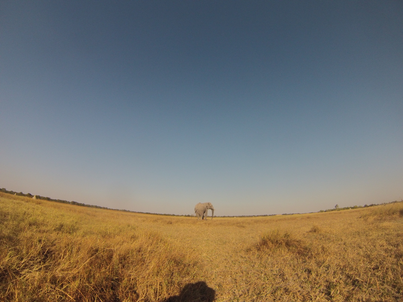 [25728] 2016_06_30_15_04_45_Africa_Hero3-Silver_Edition_IMG__02065.jpg