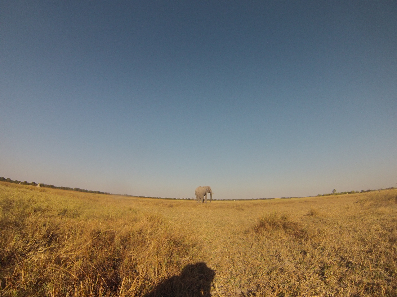 [25733] 2016_06_30_15_04_49_Africa_Hero3-Silver_Edition_IMG__01619.jpg