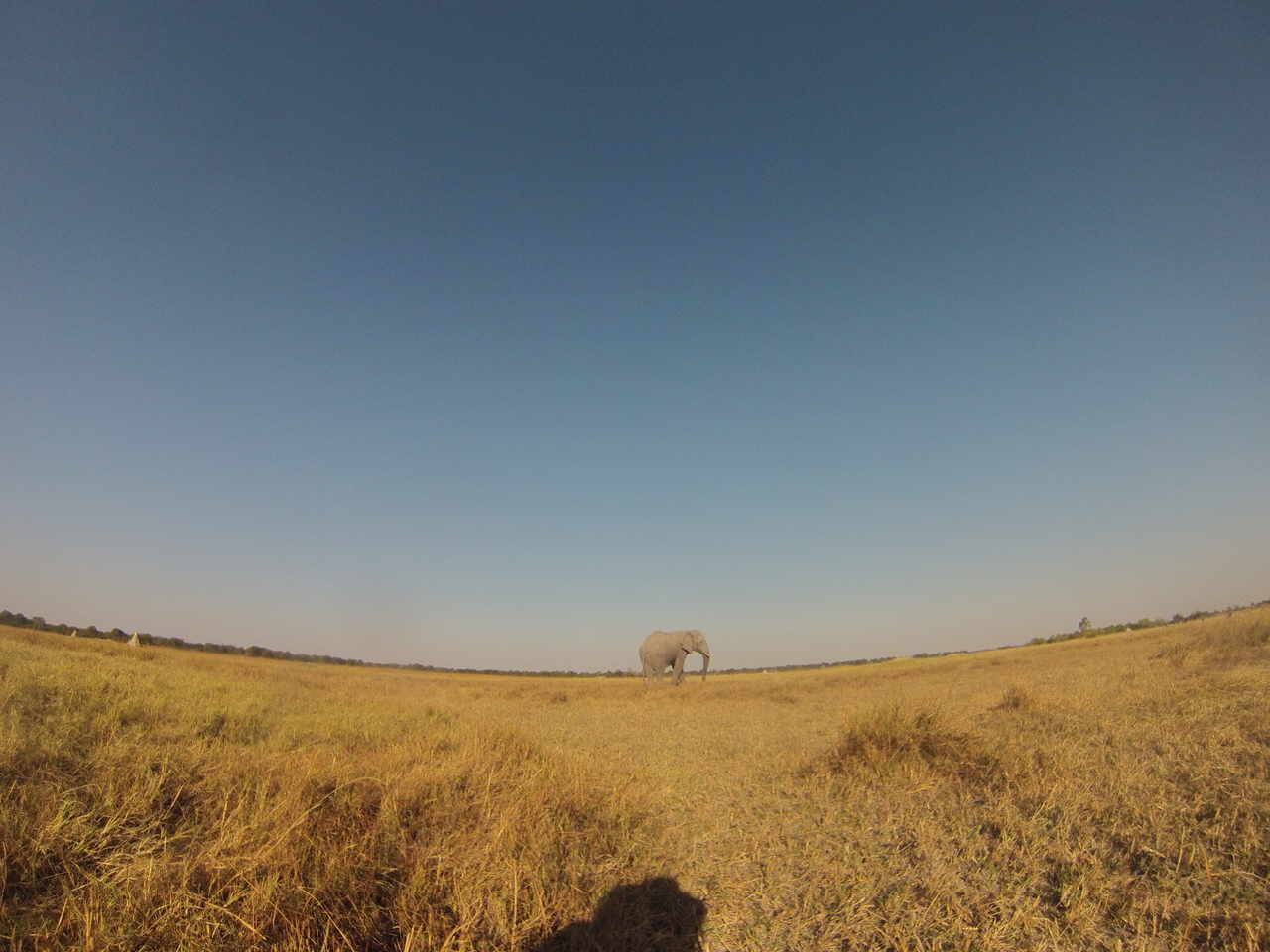 [25740] 2016_06_30_15_04_53_Africa_Hero3-Silver_Edition_IMG__02069.jpg