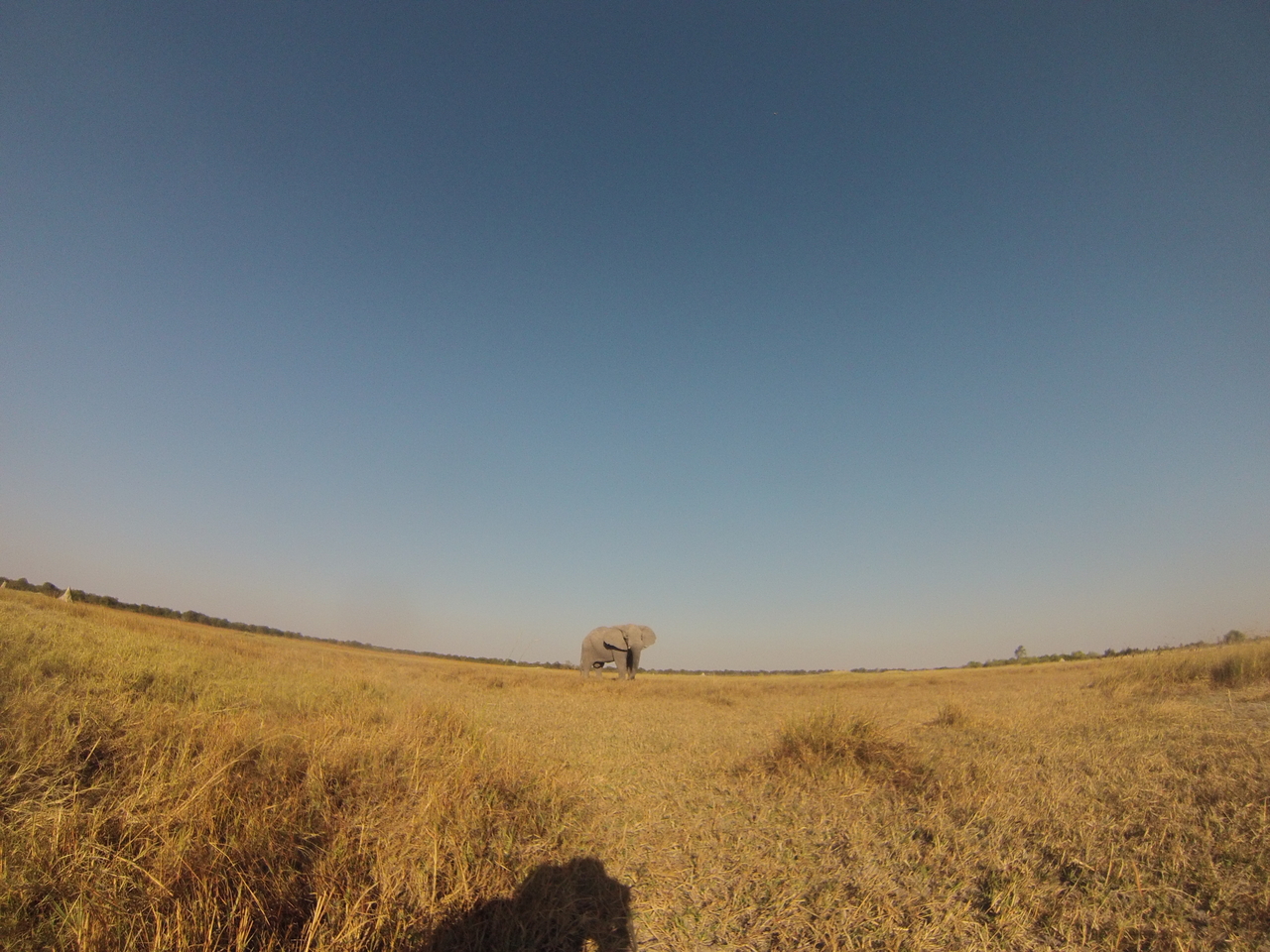 [25746] 2016_06_30_15_04_57_Africa_Hero3-Silver_Edition_IMG__02071.jpg