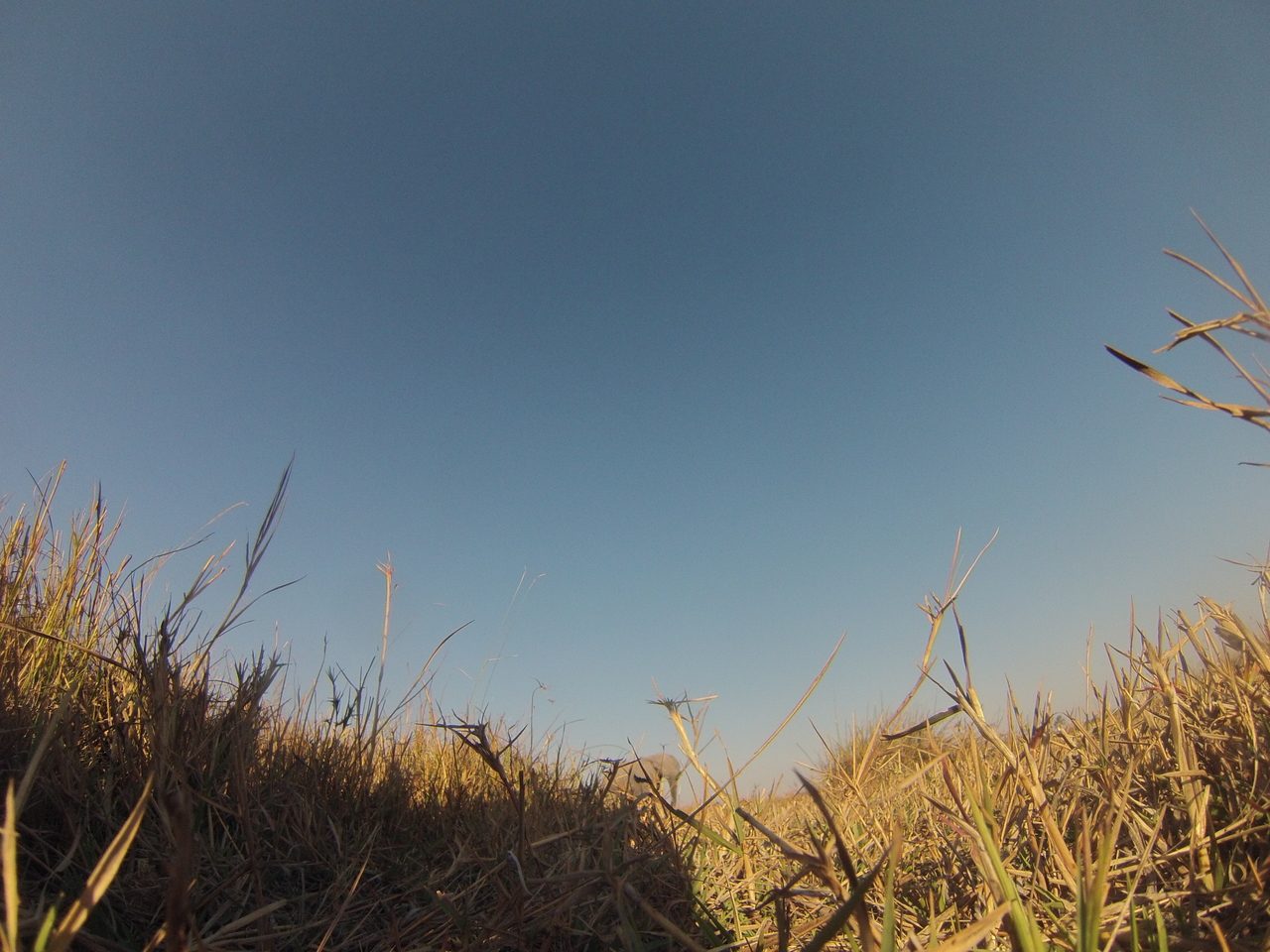 [25749] 2016_06_30_15_04_59_Africa_Hero3-Silver_Edition_IMG__02072.jpg