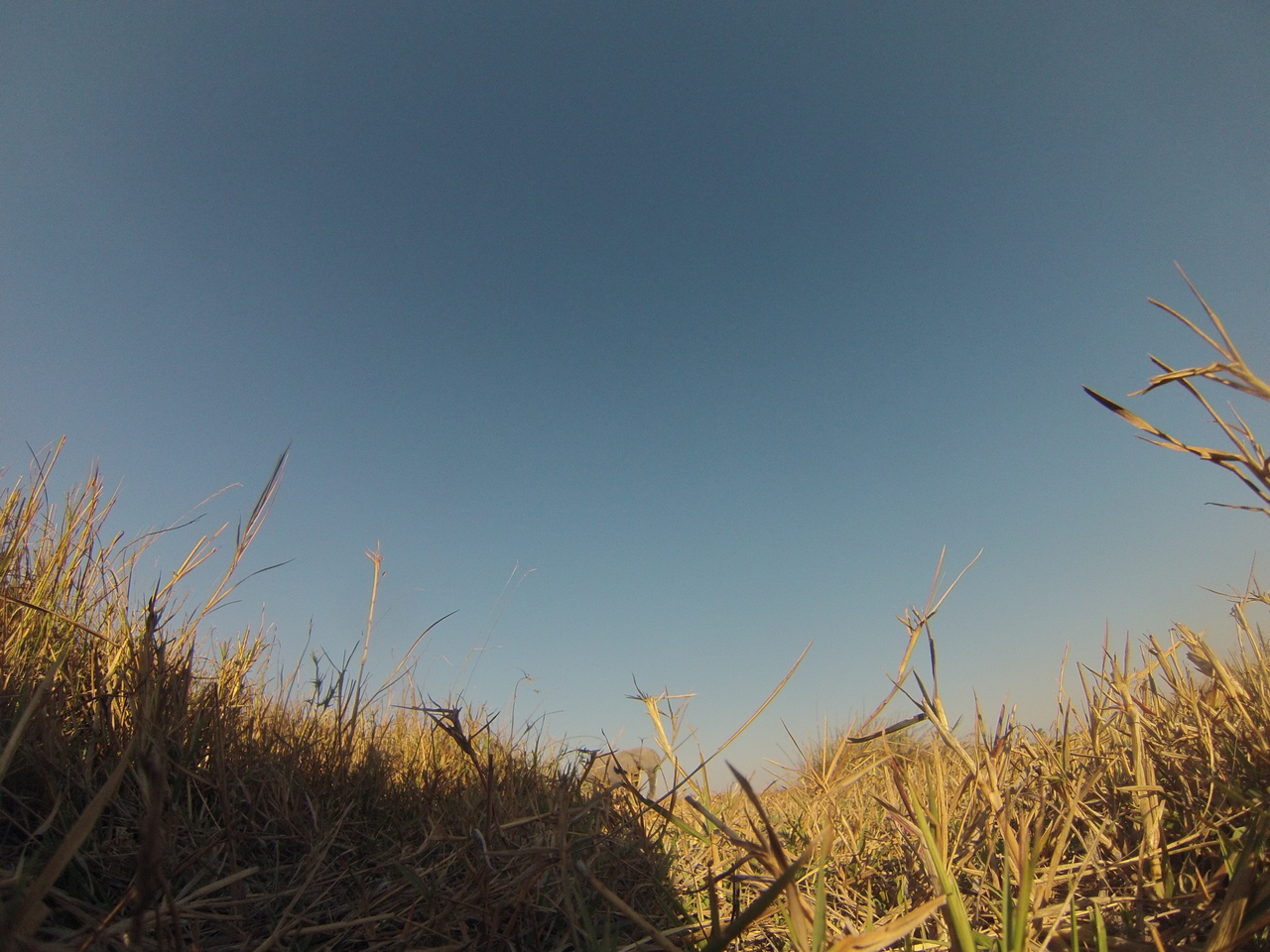 [25751] 2016_06_30_15_05_01_Africa_Hero3-Silver_Edition_IMG__01625.jpg