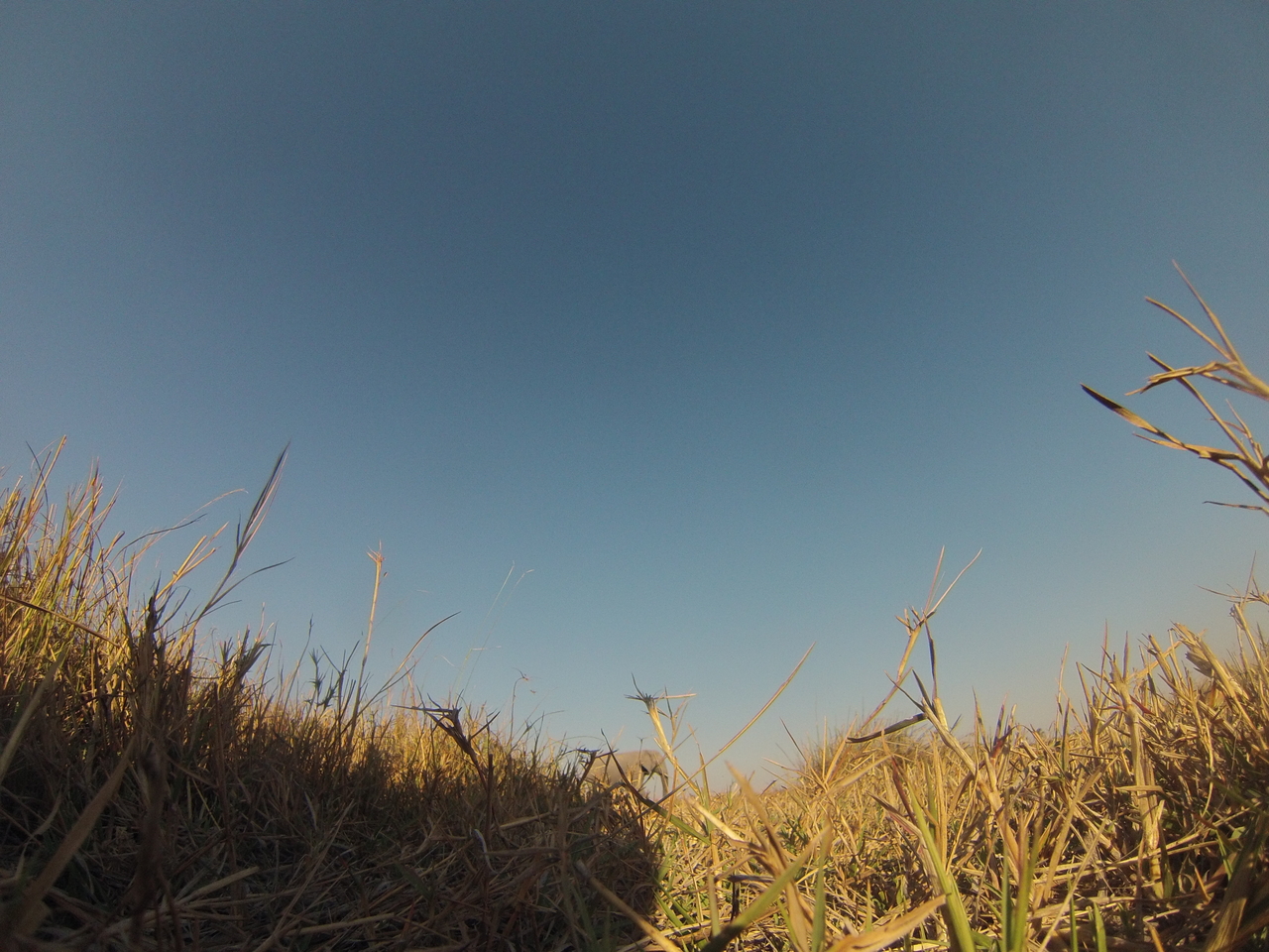 [25758] 2016_06_30_15_05_05_Africa_Hero3-Silver_Edition_IMG__02075.jpg