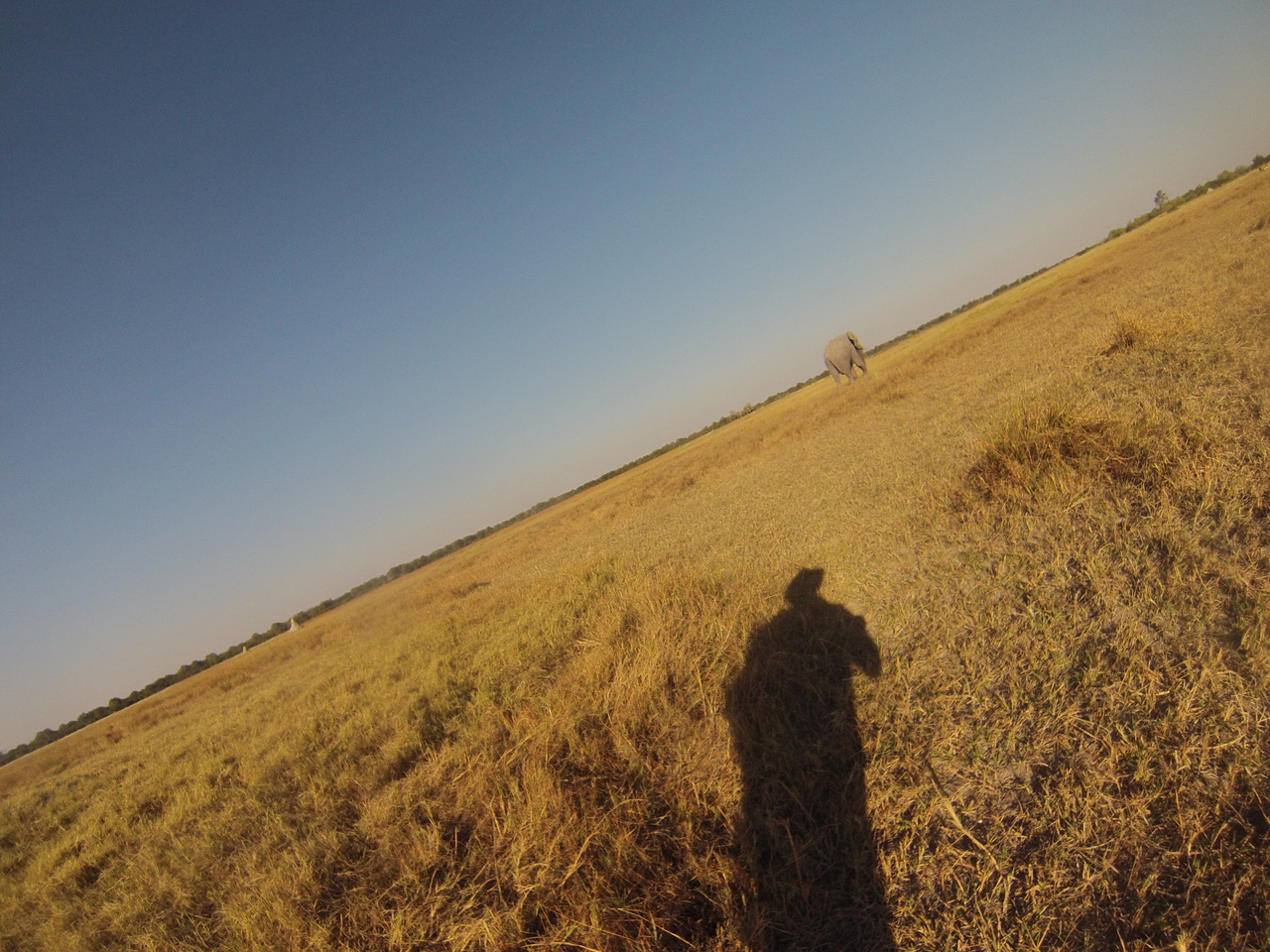 [25771] 2016_06_30_15_05_15_Africa_Hero3-Silver_Edition_IMG__00686.jpg