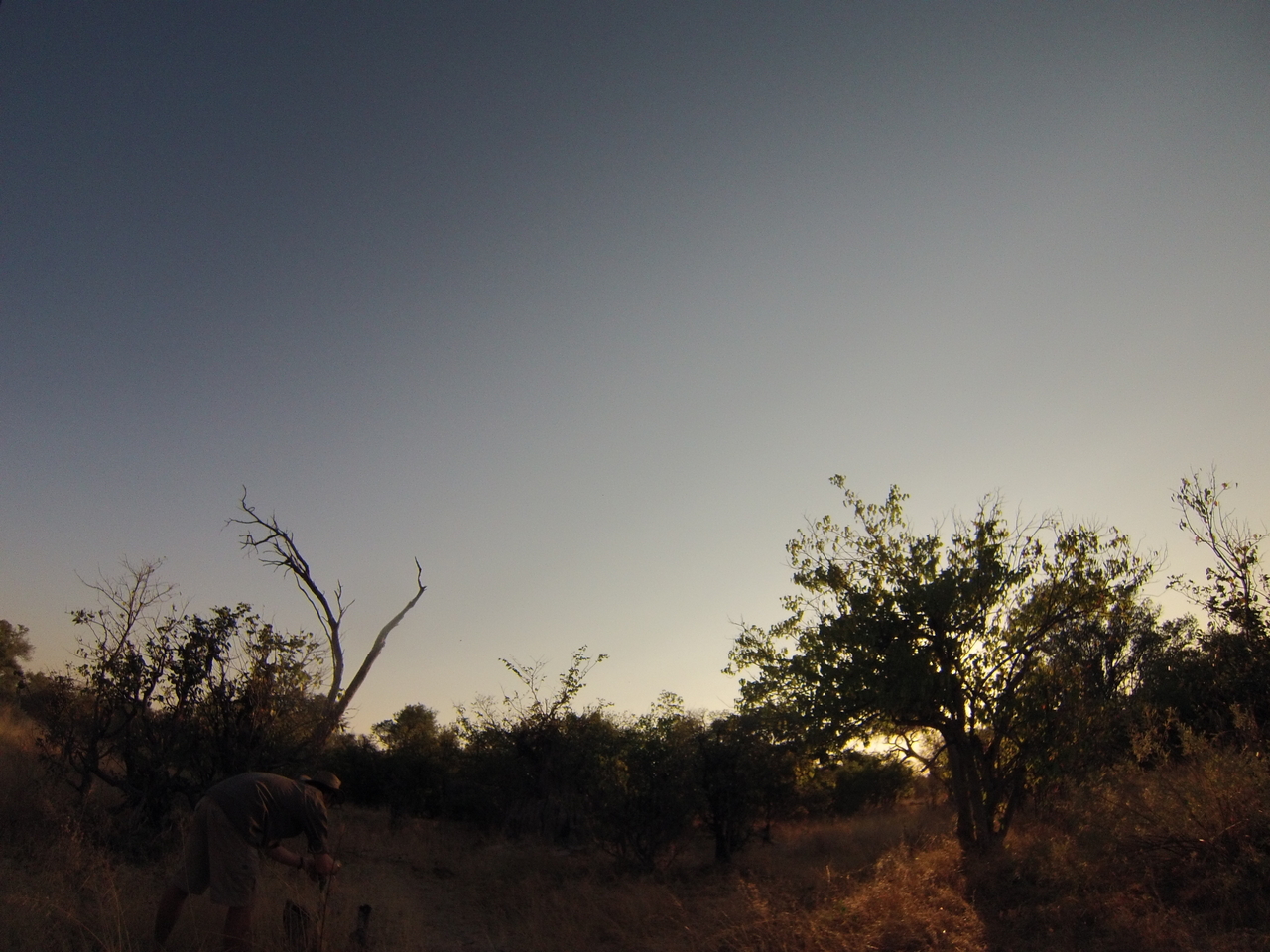 [25830] 2016_06_30_16_04_02_Africa_Hero3-Silver_Edition_IMG__01642.jpg