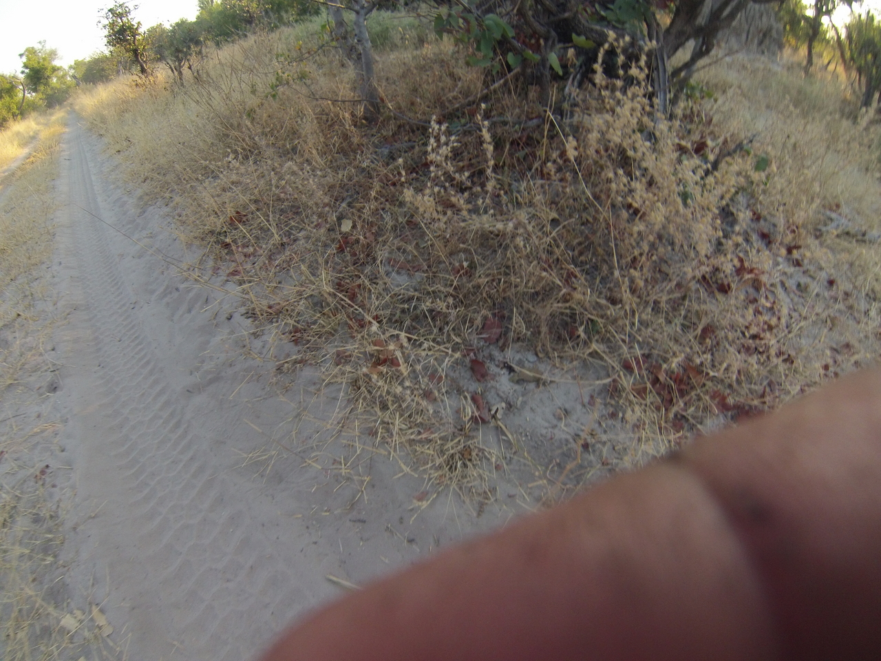 [25852] 2016_06_30_16_04_16_Africa_Hero3-Silver_Edition_IMG__02097.jpg