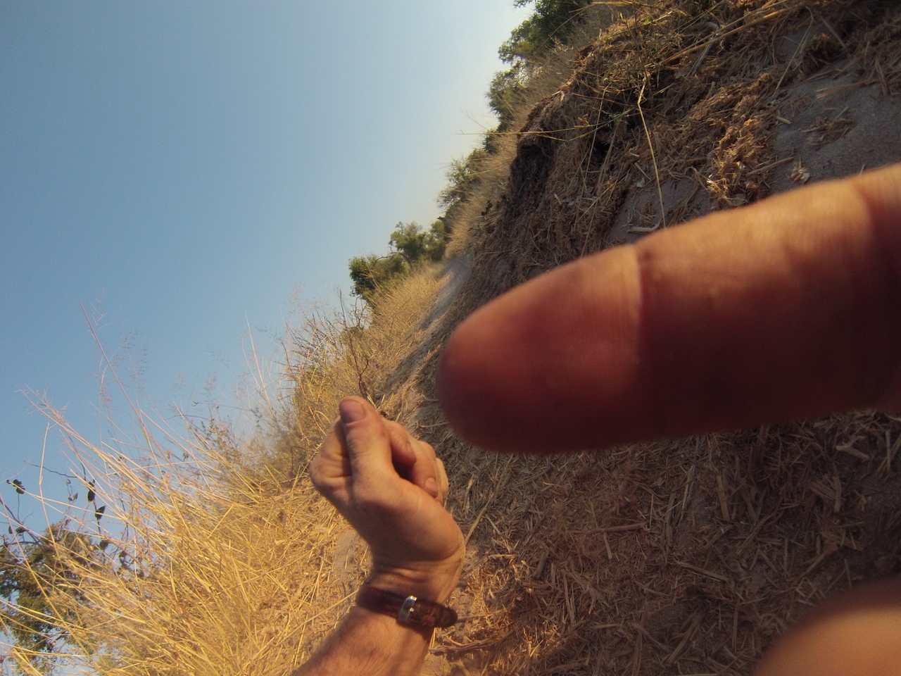 [25876] 2016_06_30_16_04_28_Africa_Hero3-Silver_Edition_IMG__02103.jpg