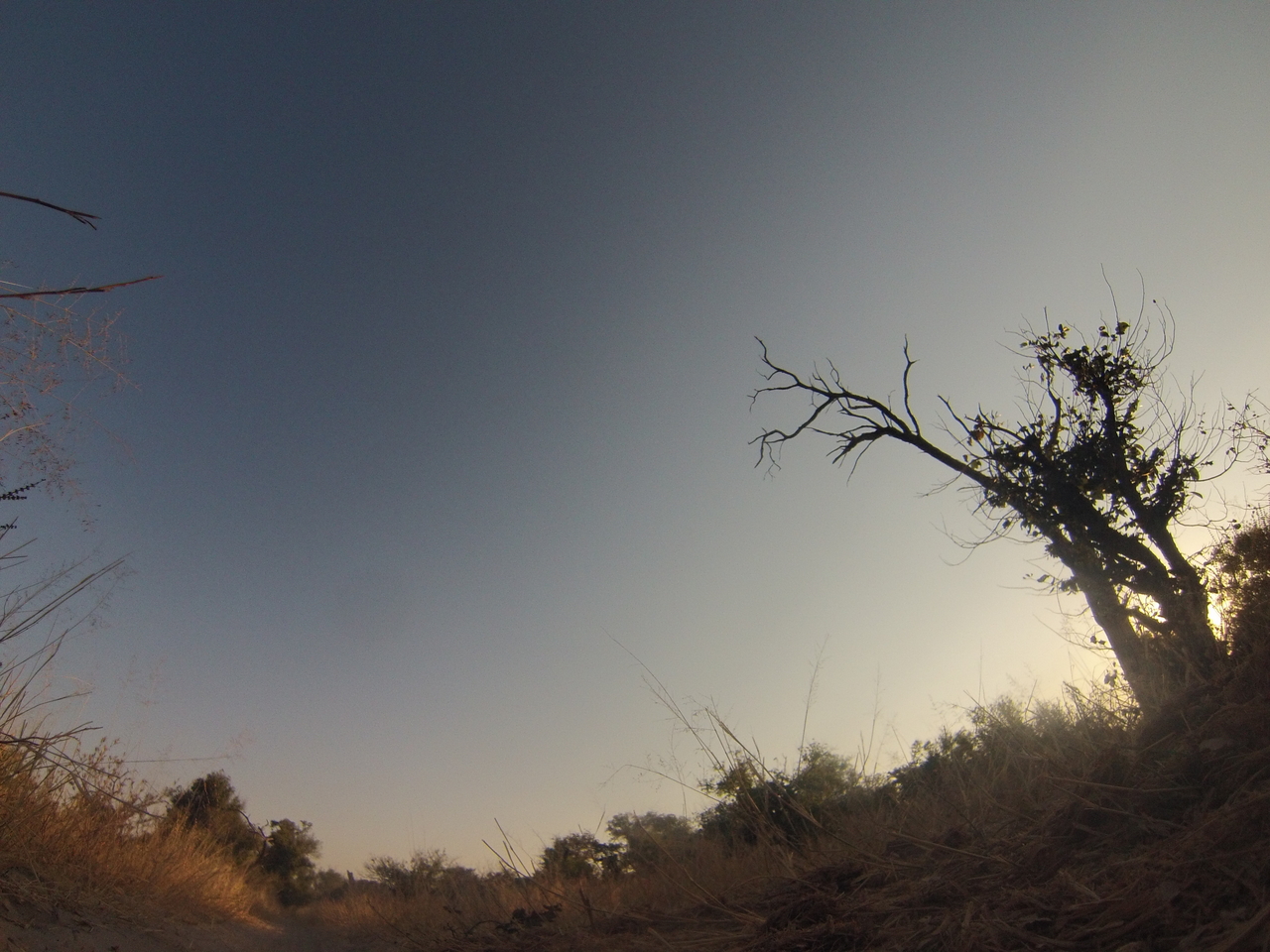 [26080] 2016_06_30_16_06_42_Africa_Hero3-Silver_Edition_IMG__02170.jpg