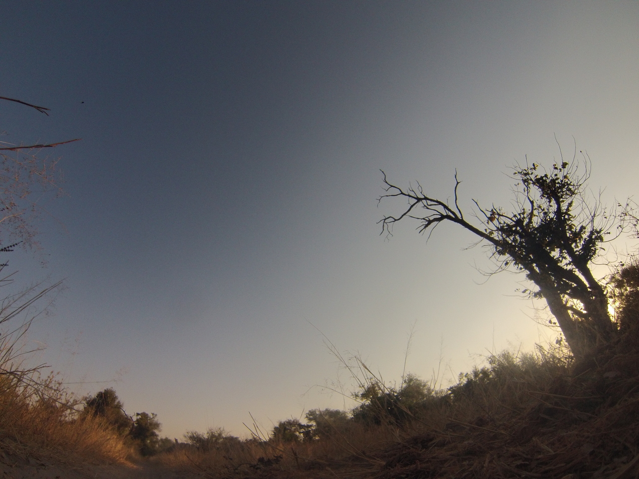 [26108] 2016_06_30_16_07_02_Africa_Hero3-Silver_Edition_IMG__00786.jpg