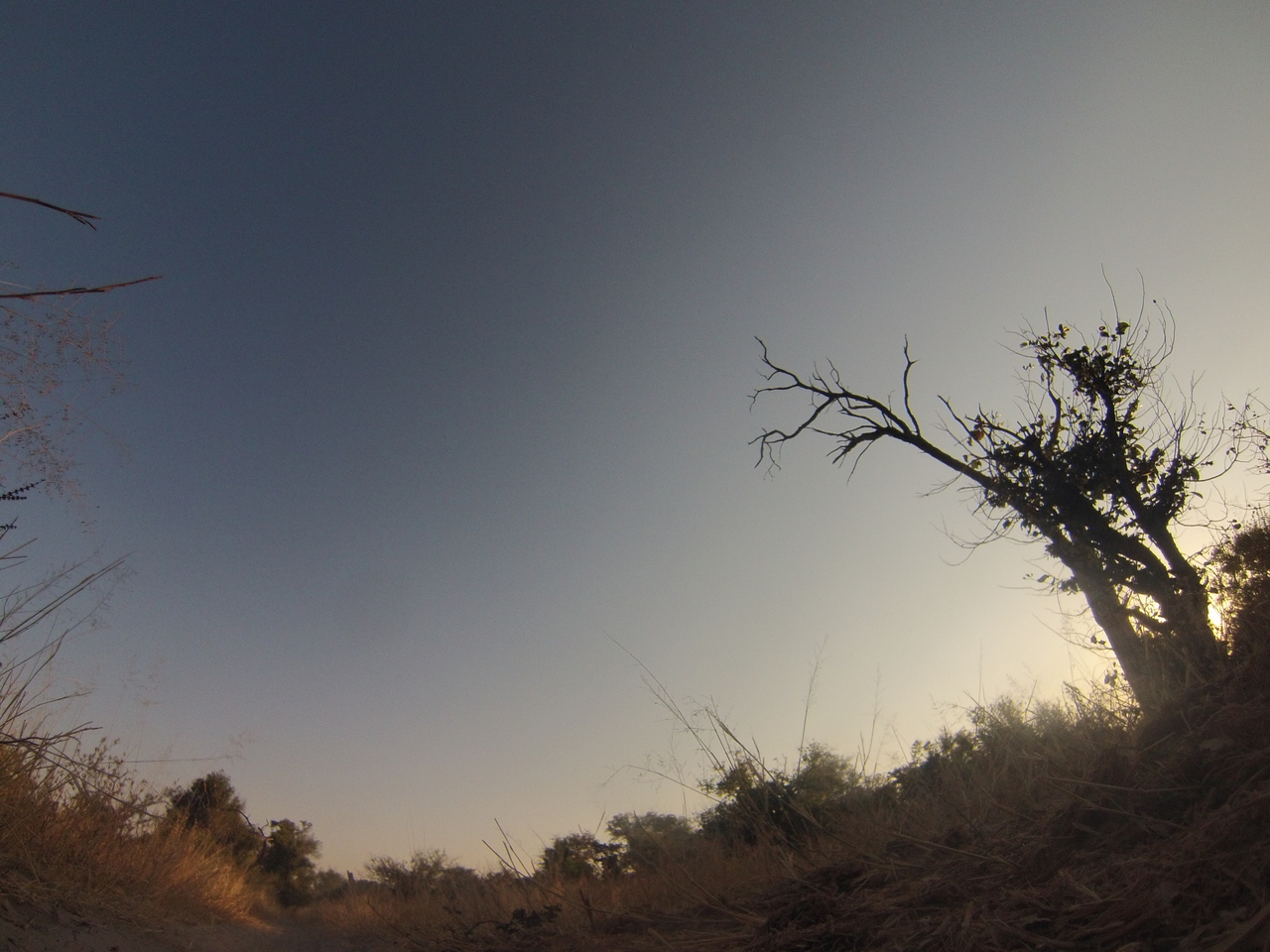 [26196] 2016_06_30_16_08_02_Africa_Hero3-Silver_Edition_IMG__01761.jpg