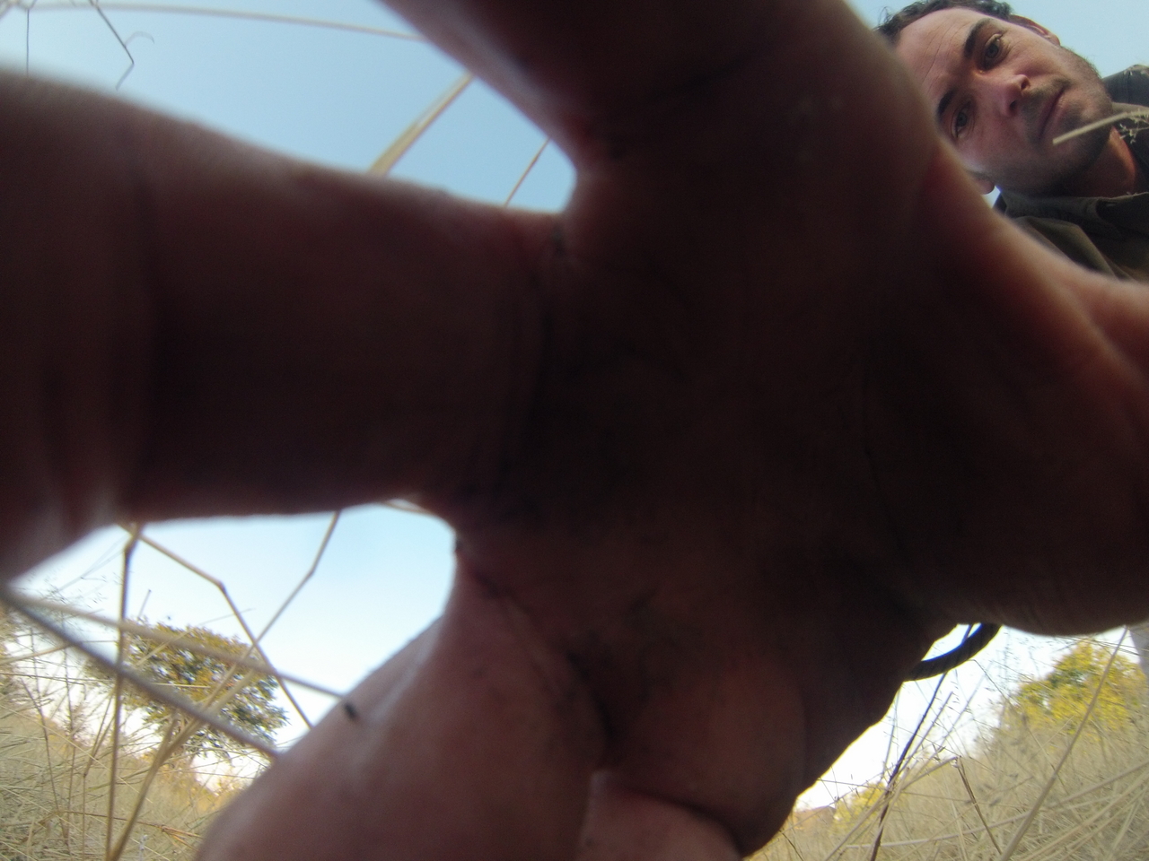 [26484] 2016_06_30_16_20_13_Africa_Hero3-Silver_Edition_IMG__01853.jpg