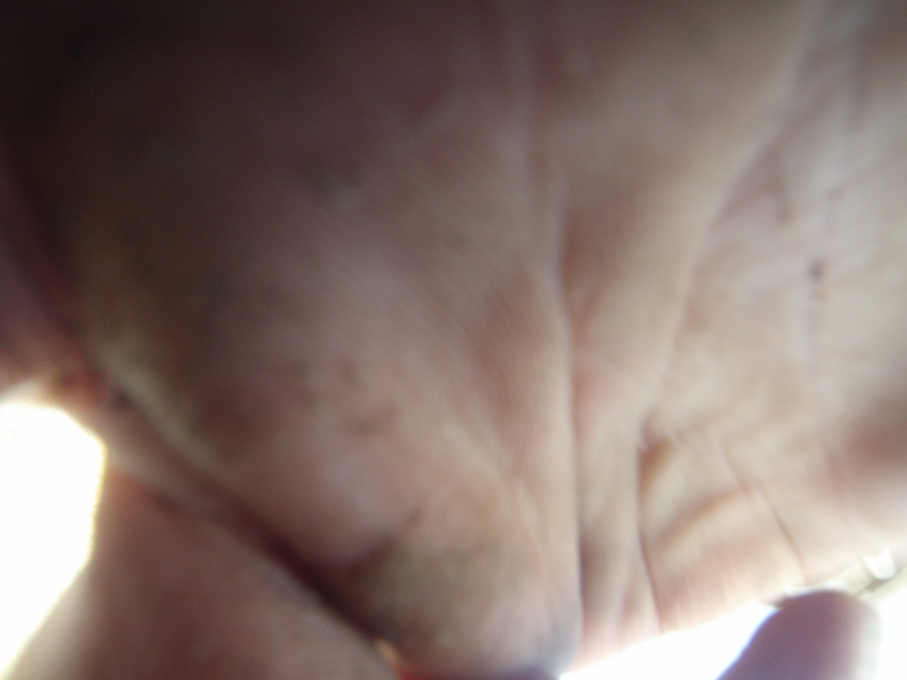 [26494] 2016_06_30_16_20_19_Africa_Hero3-Silver_Edition_IMG__02304.jpg