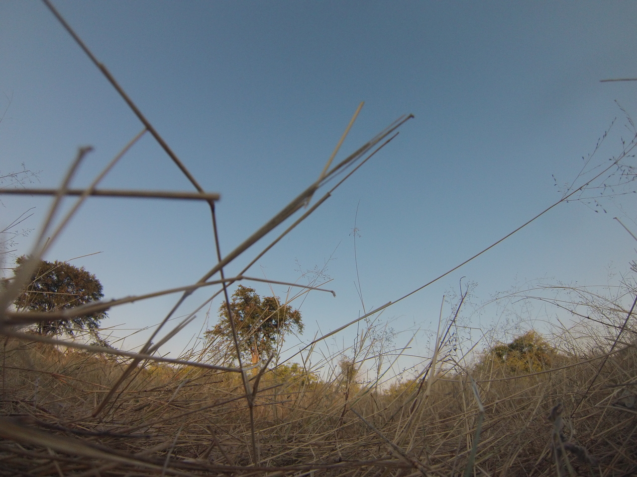 [26522] 2016_06_30_16_20_39_Africa_Hero3-Silver_Edition_IMG__00920.jpg