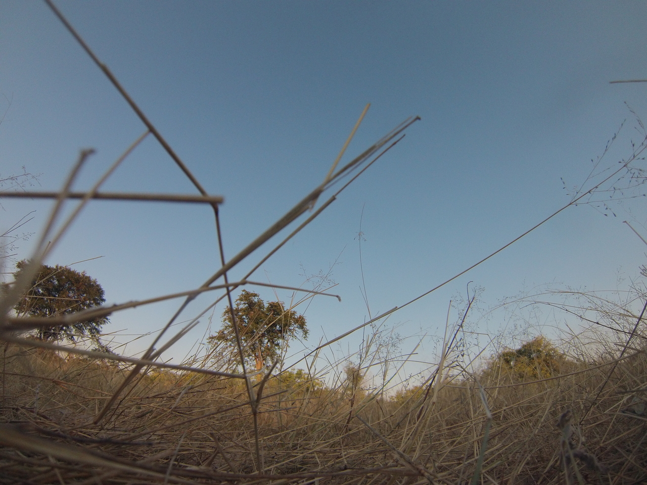 [26542] 2016_06_30_16_20_51_Africa_Hero3-Silver_Edition_IMG__02320.jpg