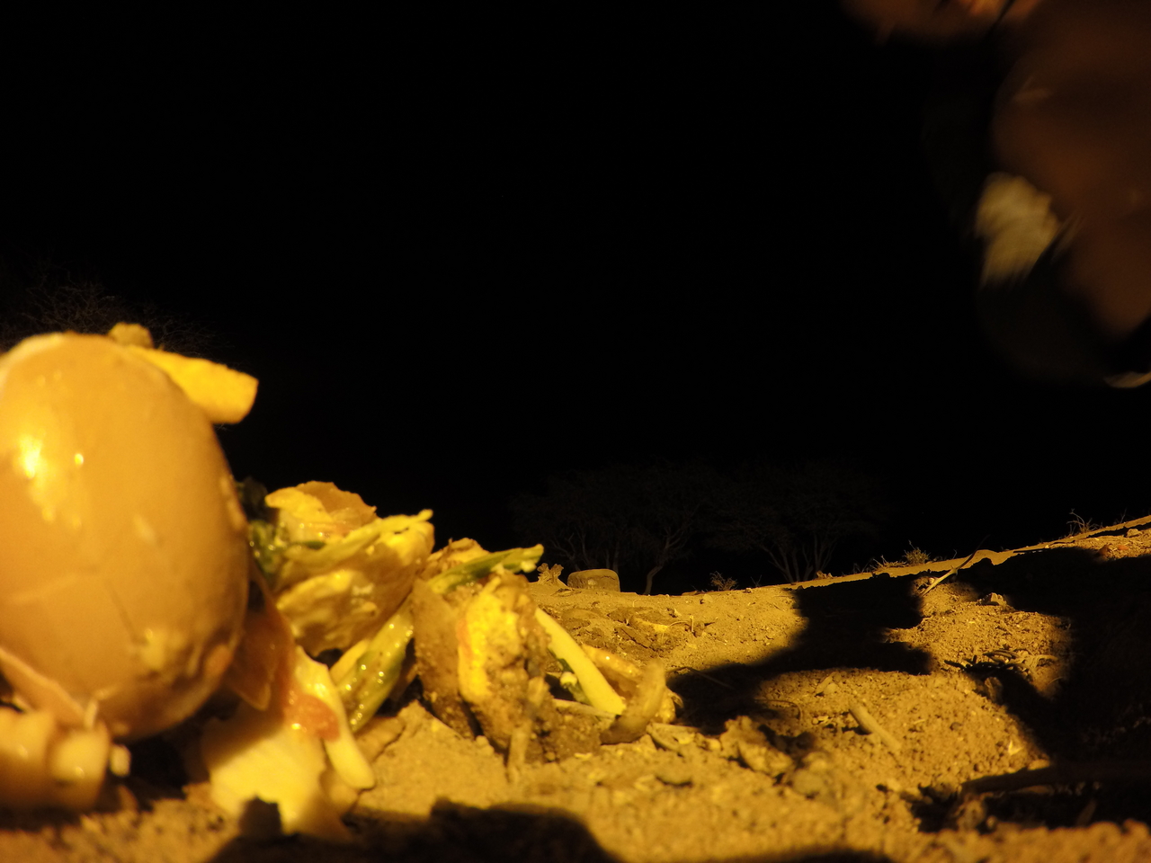 [10120] 2016_06_23_19_00_26_Africa_HERO4_Silver_IMG__00016.jpg