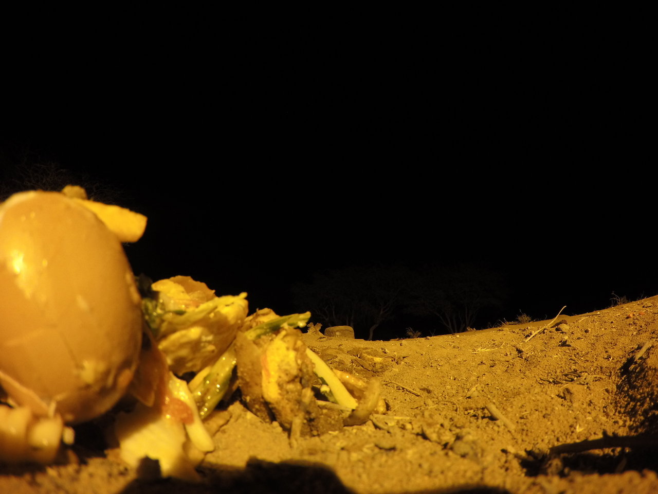 [10157] 2016_06_23_19_00_56_Africa_HERO4_Silver_IMG__03877.jpg