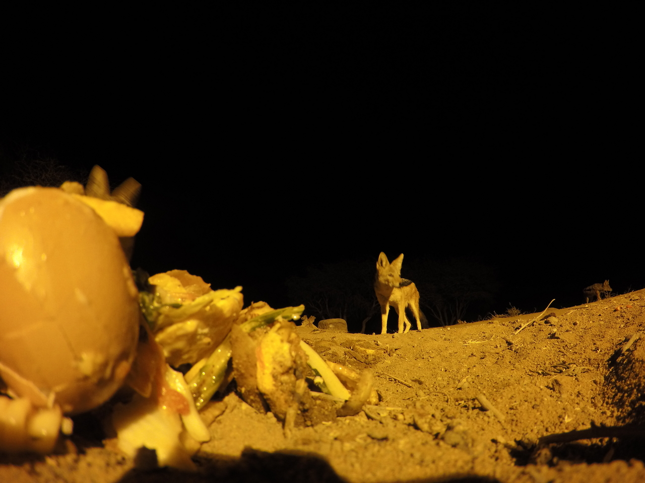 [10176] 2016_06_23_19_01_11_Africa_HERO4_Silver_IMG__00025.jpg