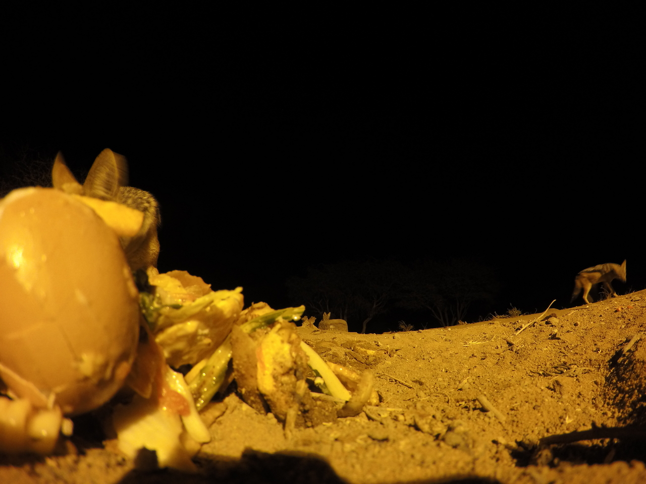 [10188] 2016_06_23_19_01_21_Africa_HERO4_Silver_IMG__00027.jpg