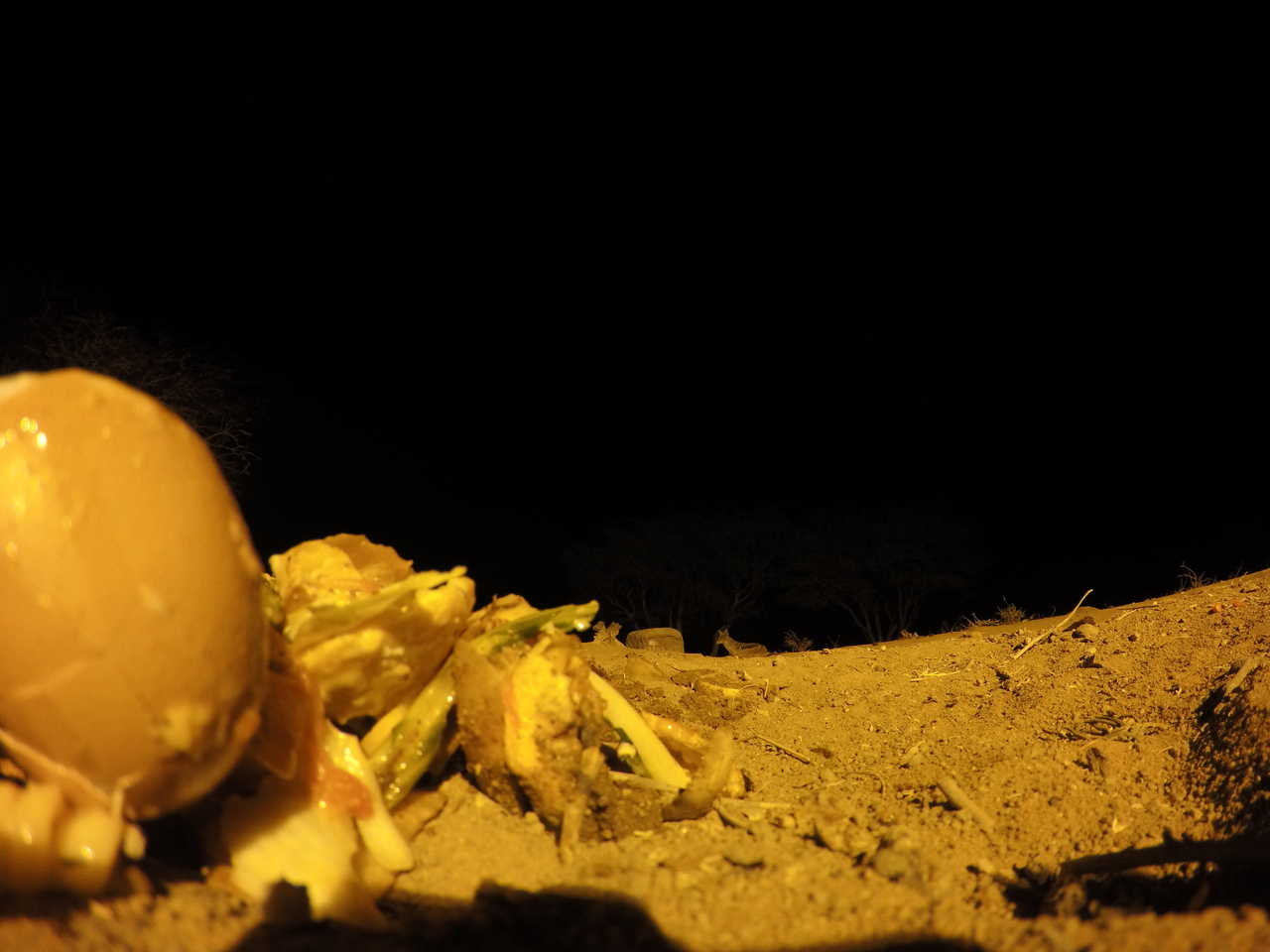 [10247] 2016_06_23_19_02_11_Africa_HERO4_Silver_IMG__03892.jpg