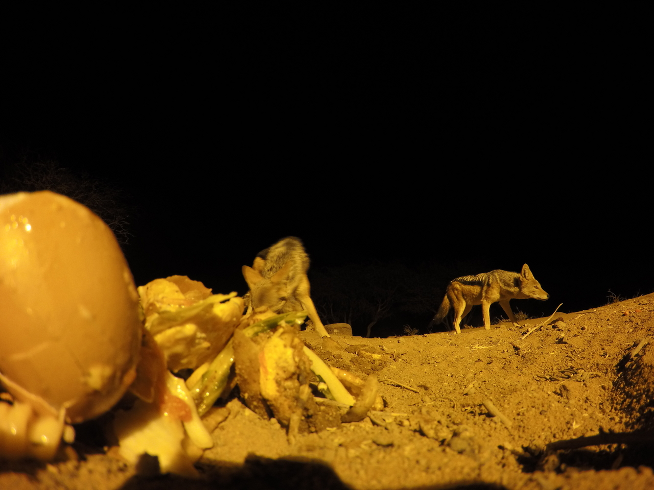 [10283] 2016_06_23_19_02_41_Africa_HERO4_Silver_IMG__03898.jpg