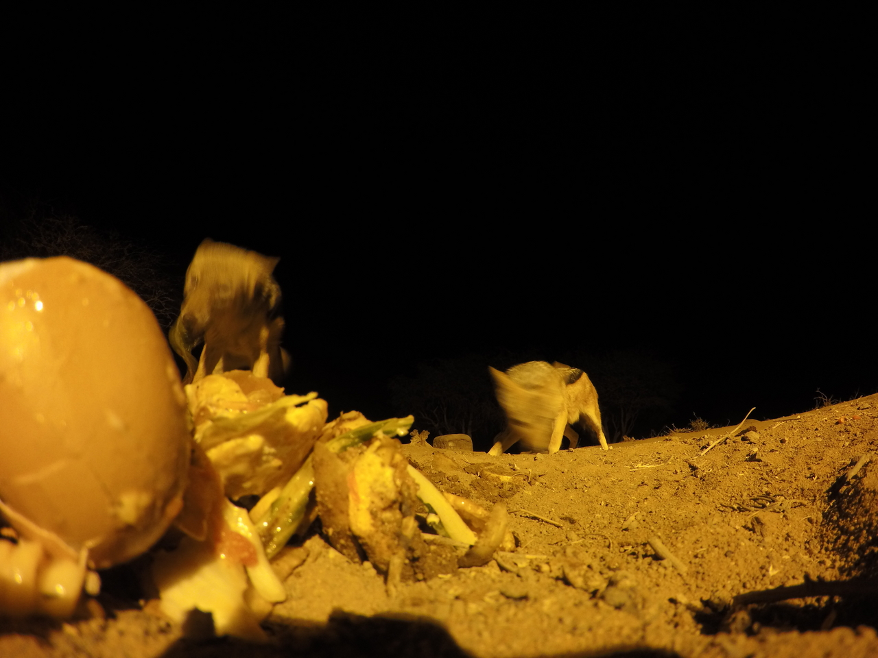 [10292] 2016_06_23_19_02_51_Africa_HERO4_Silver_IMG__00045.jpg