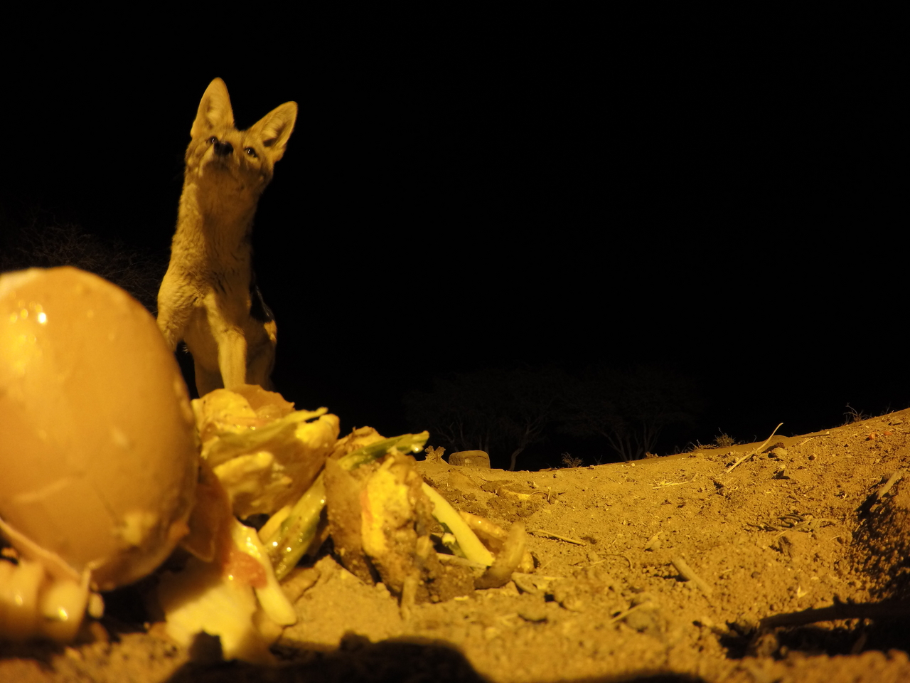 [10322] 2016_06_23_19_03_16_Africa_HERO4_Silver_IMG__00050.jpg