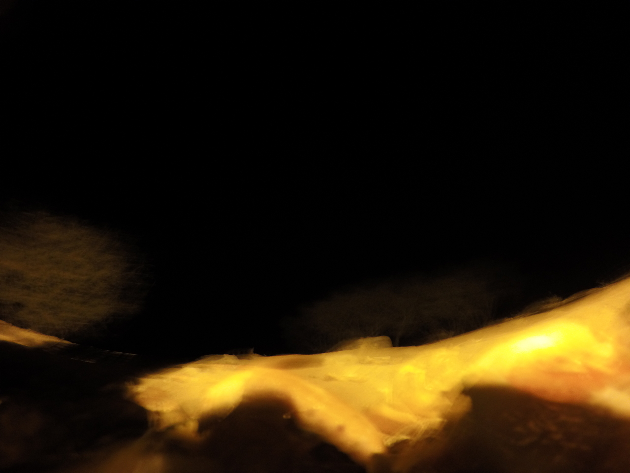 [10360] 2016_06_23_19_03_52_Africa_HERO4_Silver_IMG__00057.jpg