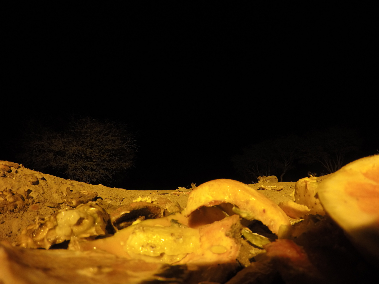 [10392] 2016_06_23_19_04_21_Africa_HERO4_Silver_IMG__00063.jpg