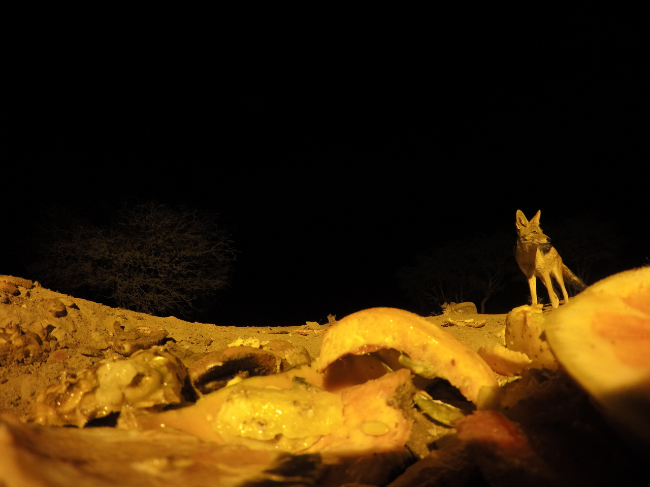 [10421] 2016_06_23_19_04_51_Africa_HERO4_Silver_IMG__03924.jpg