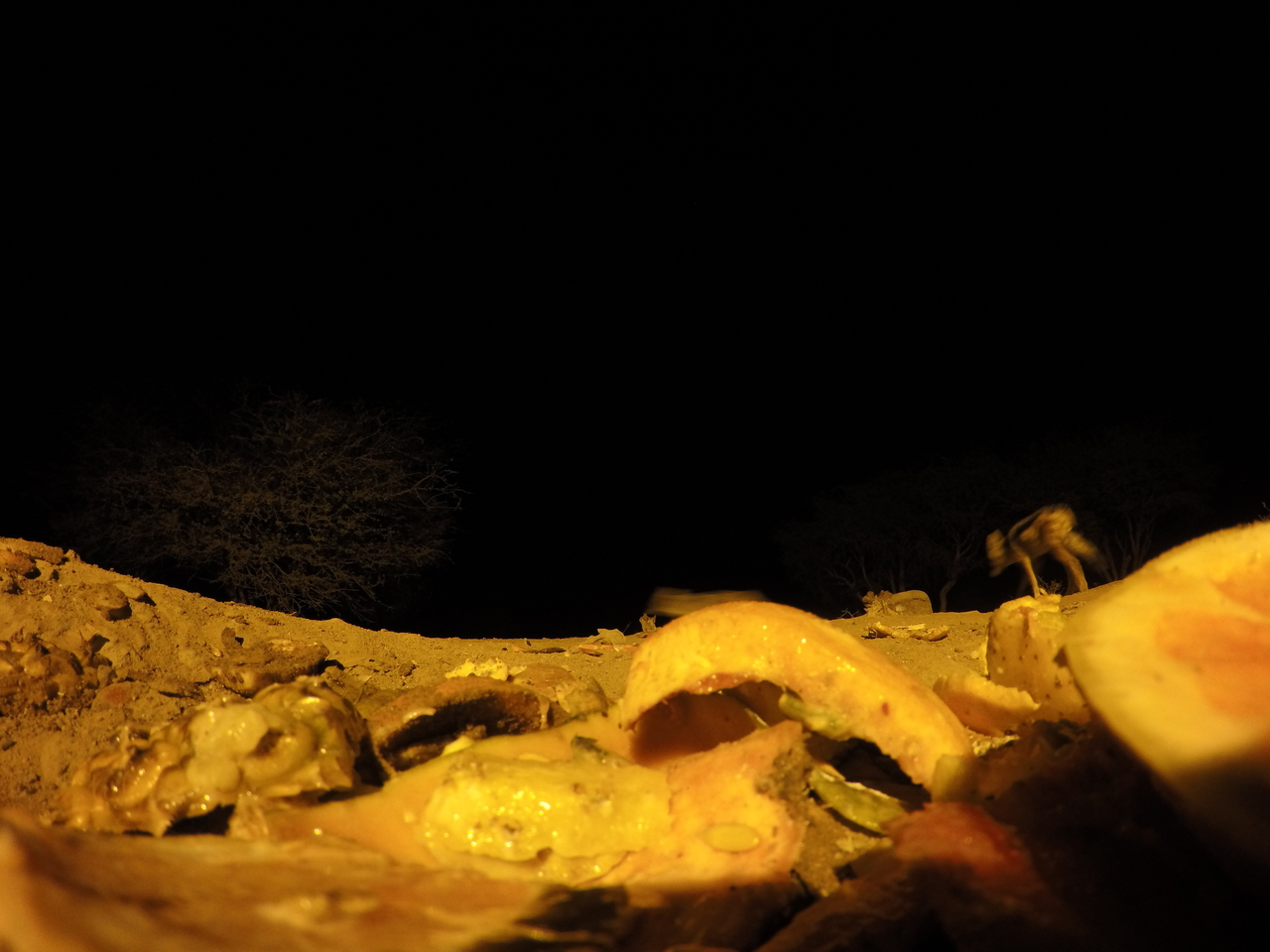 [10425] 2016_06_23_19_04_56_Africa_HERO4_Silver_IMG__03925.jpg